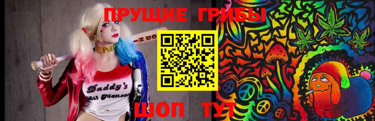 Псилоцибиновые грибы Cubensis  Вход с VPN  Губкин  Галлюциногенные грибы мицелий 