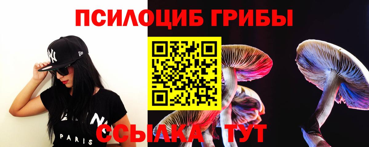 Псилоцибиновые грибы GOLDEN TEACHER Губкин