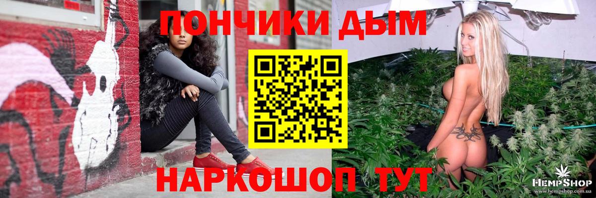 Бошки марихуана марихуана  МАРИХУАНА марихуана  Вход с VPN  Губкин 